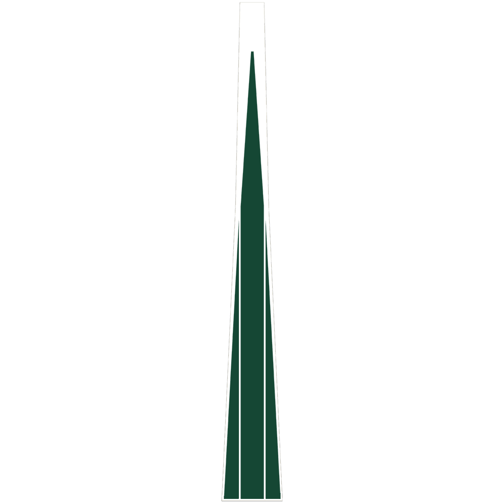 Bronco Style Stripes