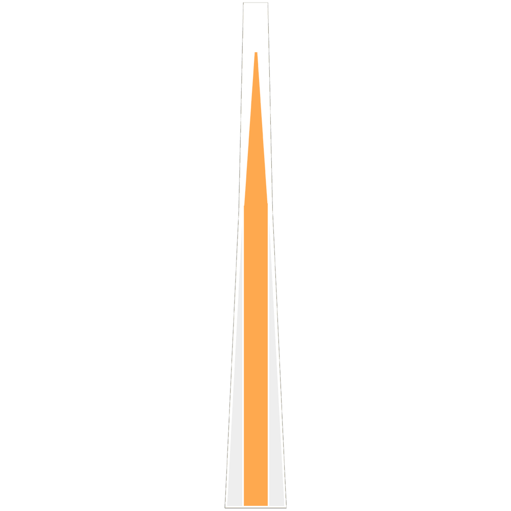 Bronco Style Stripes
