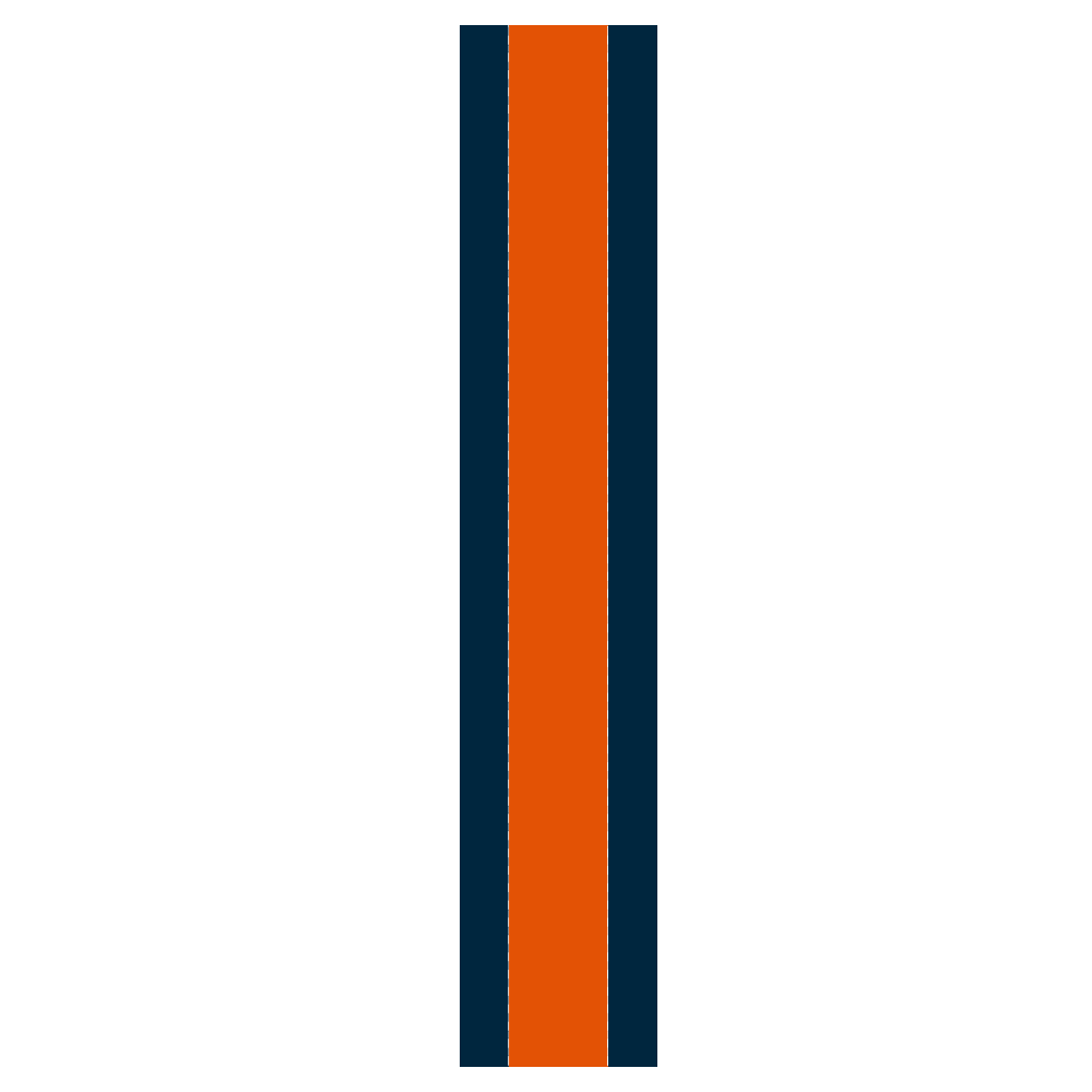 Multi-Color Helmet Stripes