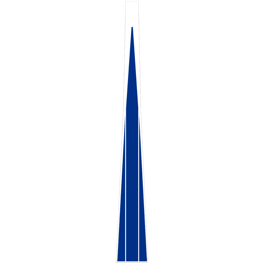 Bronco Style Stripes
