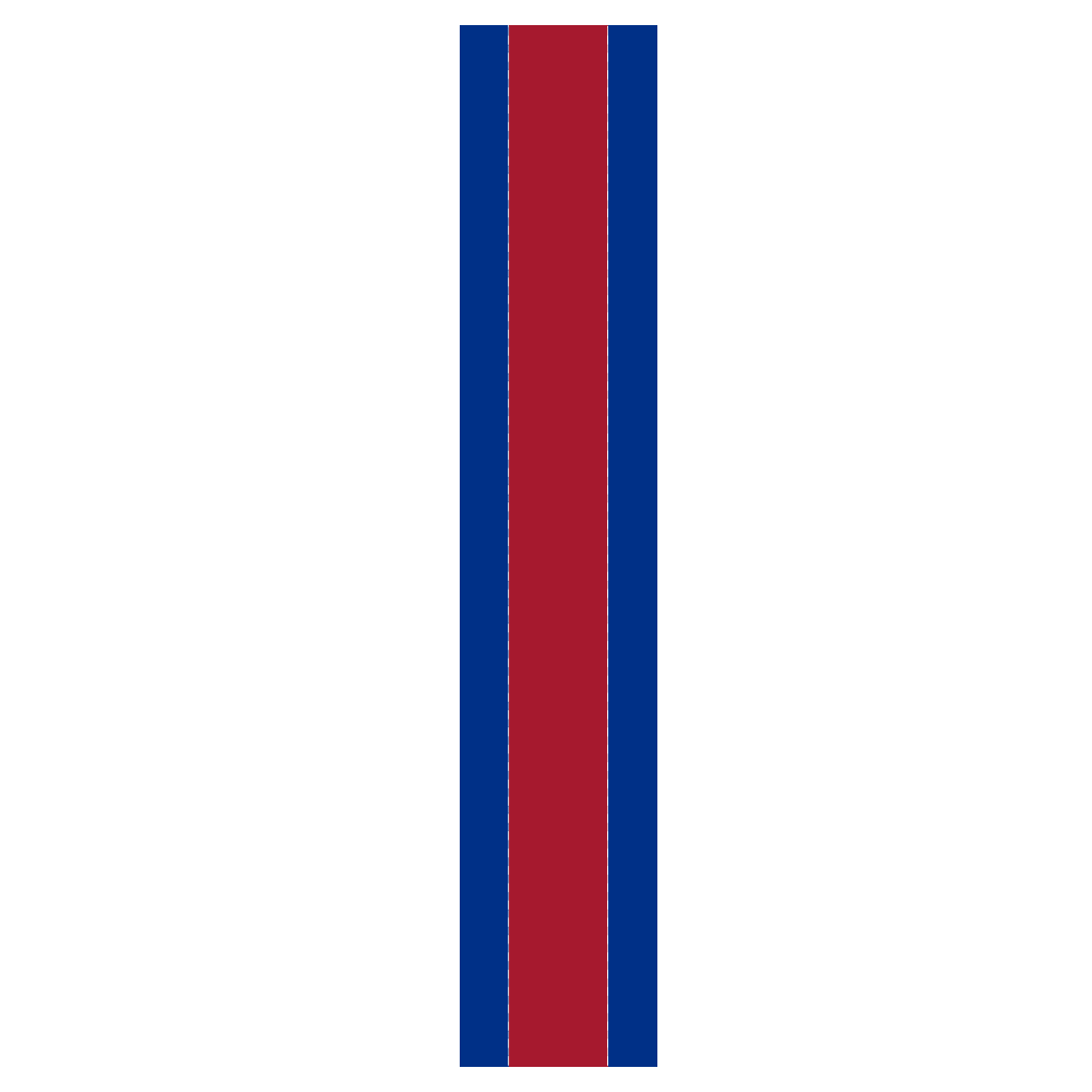 Multi-Color Helmet Stripes
