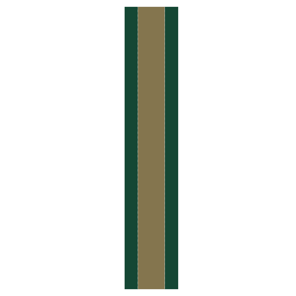 Multi-Color Helmet Stripes