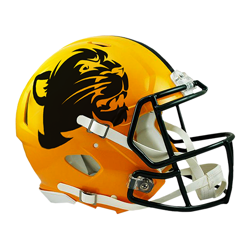 Matte Helmet Decals