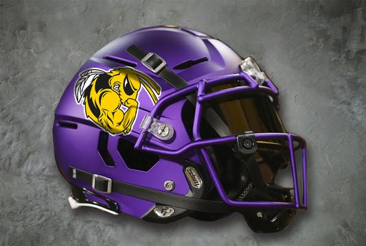 Why should you change up your custom football helmet decals for this year?