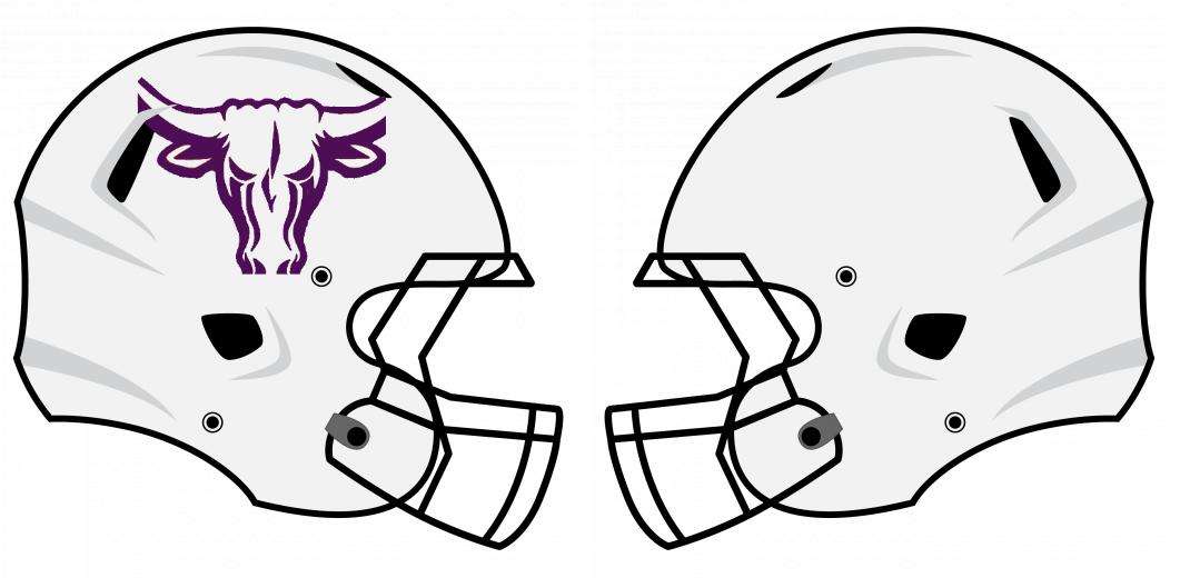 Chrome Helmet Decals