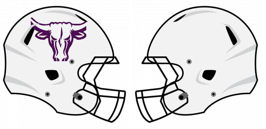 Chrome Helmet Decals