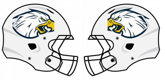 Chrome Oversized Helmet Decals