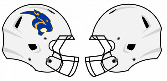 Chrome Helmet Decals