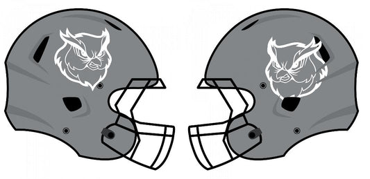 Chrome Extreme Oversized Helmet Decals