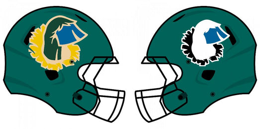 Chrome Extreme Oversized Helmet Decals