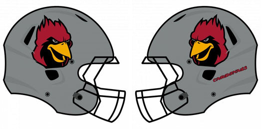Classic Extreme Oversized Helmet Decals