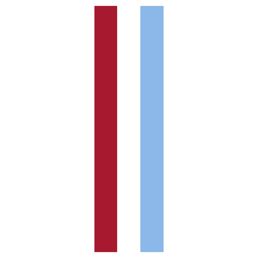 Multi-Color Helmet Stripes