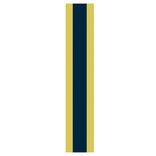 Multi-Color Helmet Stripes