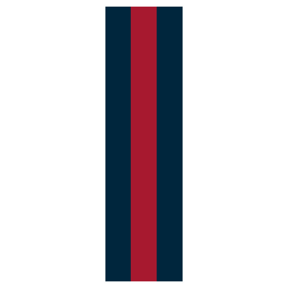 Multi-Color Helmet Stripes