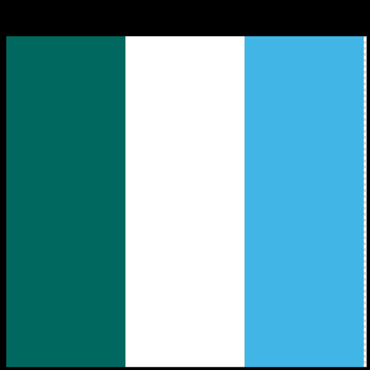 Multi-Color Helmet Stripes