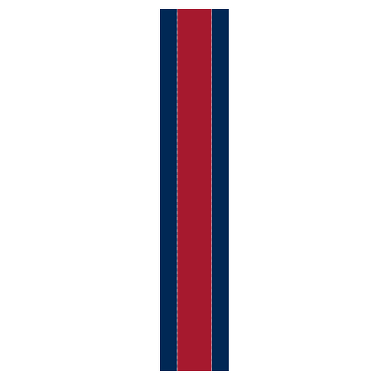Multi-Color Helmet Stripes