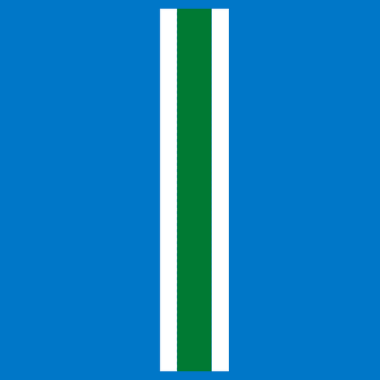 Multi-Color Helmet Stripes