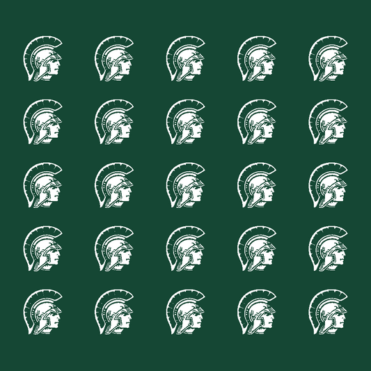 Mascot Award Decals