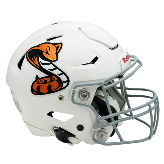 Holographic Scale Pattern Snake Football Decals