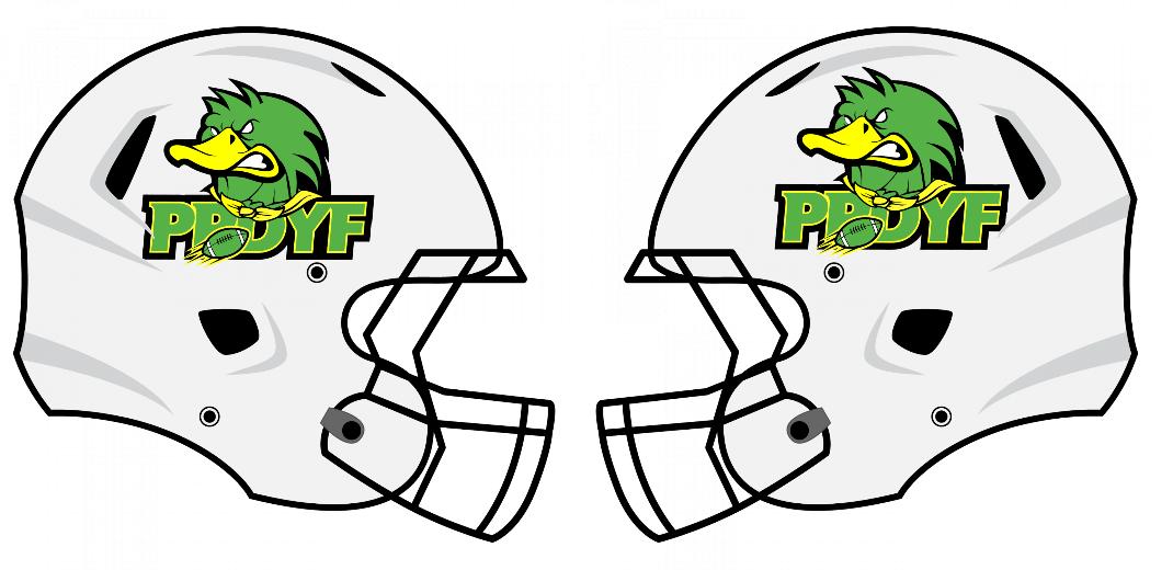 Metallic Flake Helmet Decals