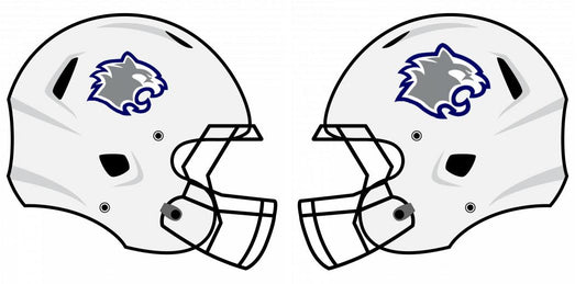 Classic Helmet Decals