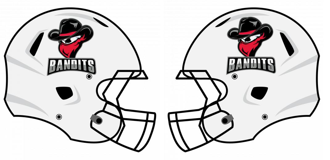 Chrome Helmet Decals