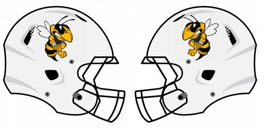 Chrome Helmet Decals