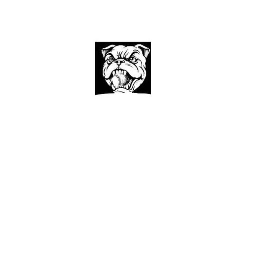Batter's Helmet Decals