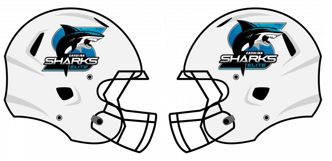 Classic Helmet Decals