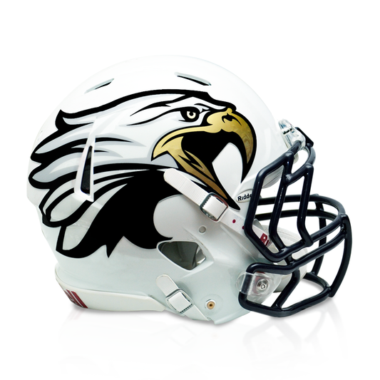 Chrome Extreme Oversized Helmet Decals