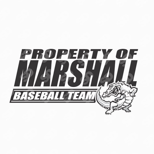 Baseball Template Design (197229)