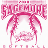 Softball Template Design (197325)